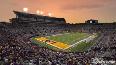 Picture of Tiger Stadium